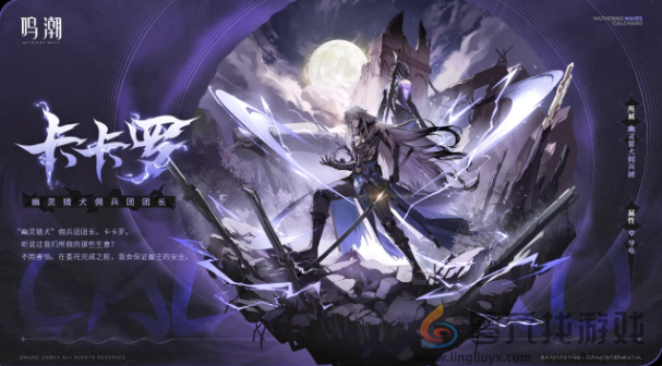 鸣潮卡卡罗队伍搭配攻略(图1) 鸣潮卡卡罗队伍搭配攻略(图1)