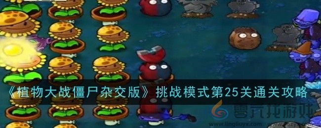 植物大战僵尸杂交版挑战模式第25关通关攻略(图1)