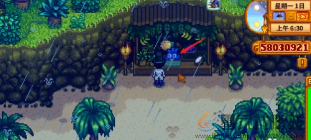 星露谷物语金椰子怎么砸开(图4) 星露谷物语金椰子怎么砸开(图4)