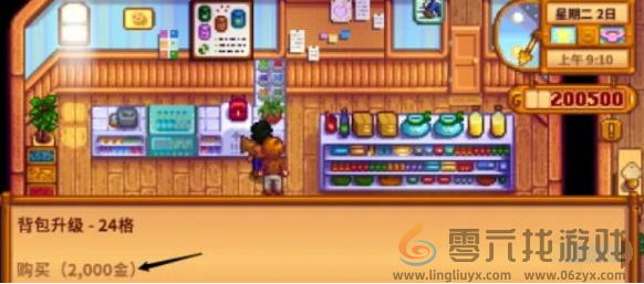 星露谷物语物品栏扩充攻略(图5) 星露谷物语物品栏扩充攻略(图5)