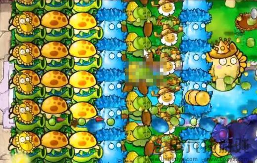 植物大战僵尸杂交版挑战模式第51关通关攻略(图6) 植物大战僵尸杂交版挑战模式第51关通关攻略(图6)