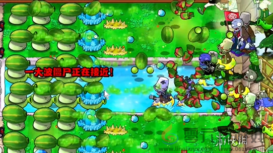 植物大战僵尸杂交版泳池防守第六关怎么过(图5) 植物大战僵尸杂交版泳池防守第六关怎么过(图5)
