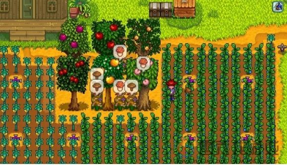 星露谷物语蘑菇树桩流玩法攻略(图2) 星露谷物语蘑菇树桩流玩法攻略(图2)