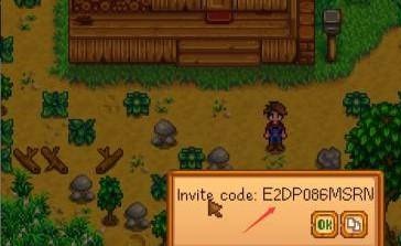 星露谷物语怎么联机(图5) 星露谷物语怎么联机(图5)