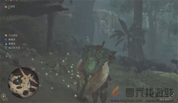 怪物猎人荒野端丽翼鸟具体位置分享(图5) 怪物猎人荒野端丽翼鸟具体位置分享(图5)